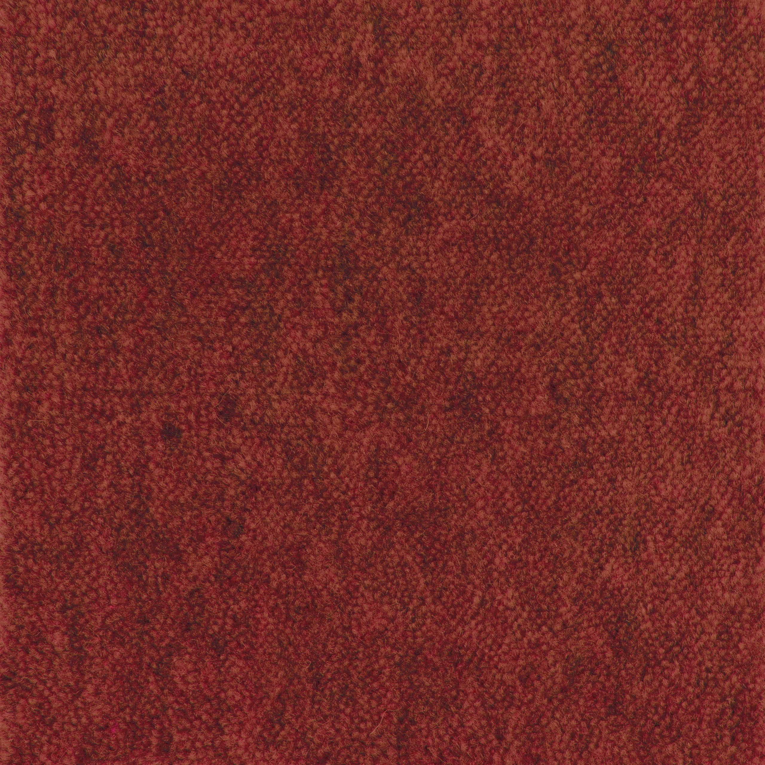 CUT PILE