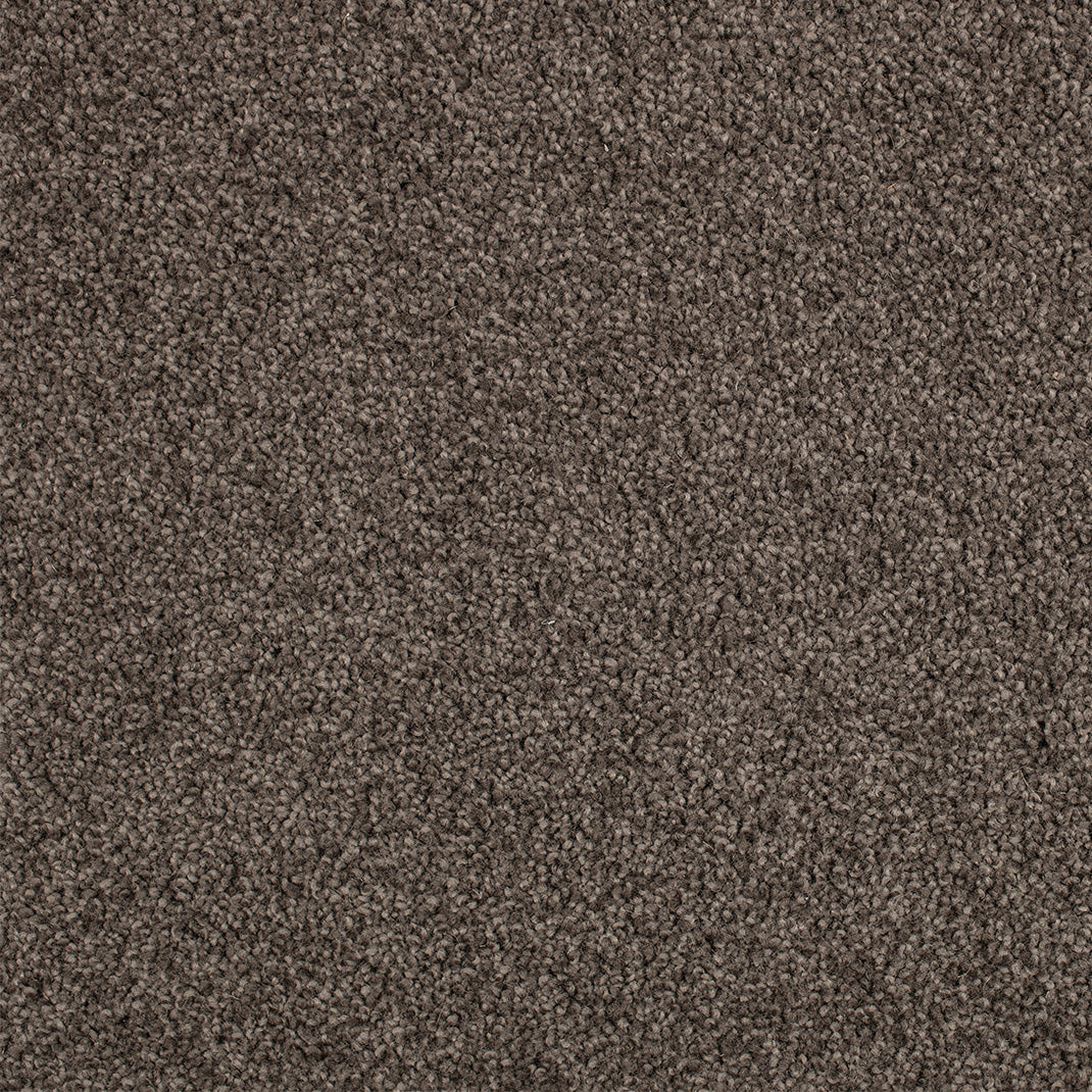 COASTAL STIPPLE