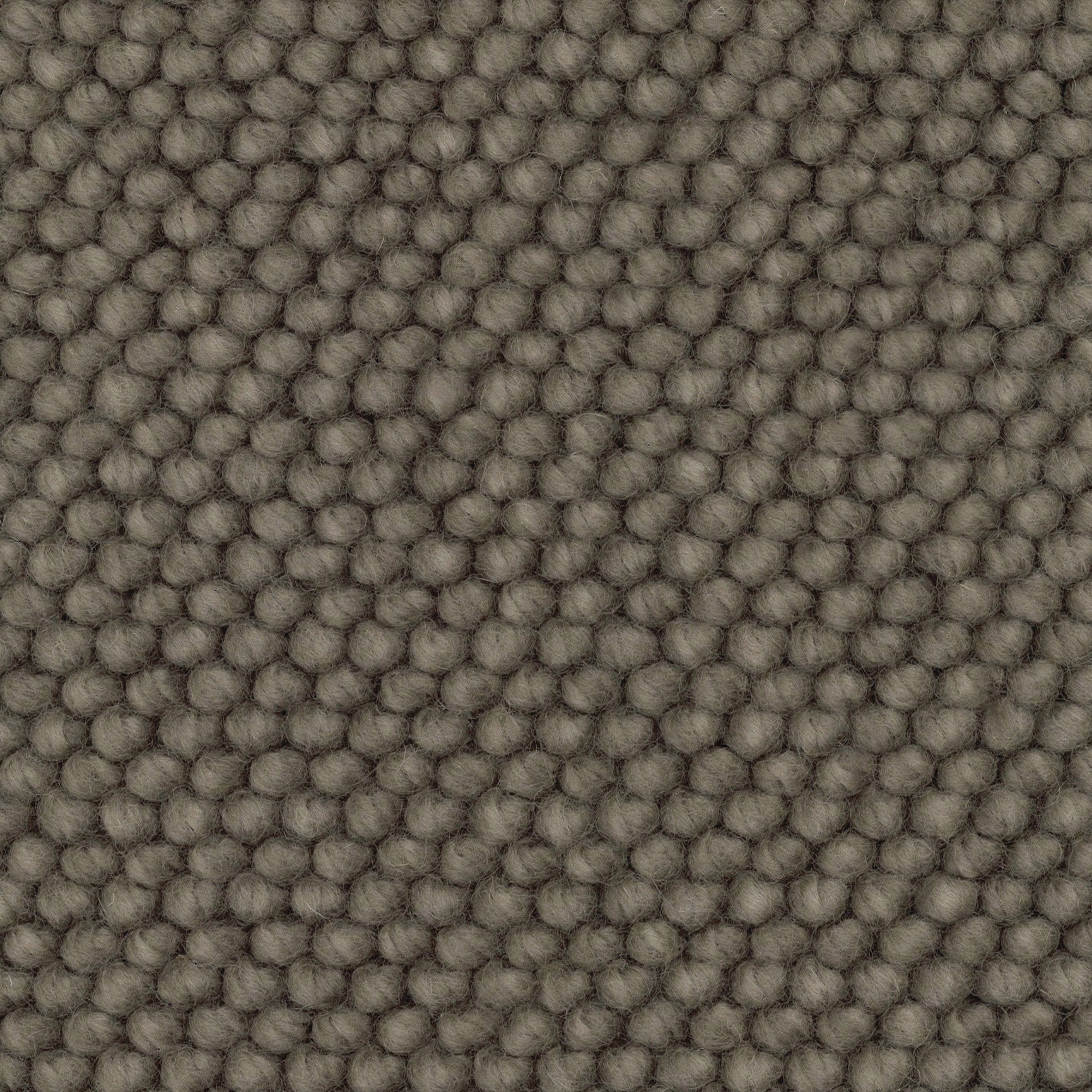 APIARY