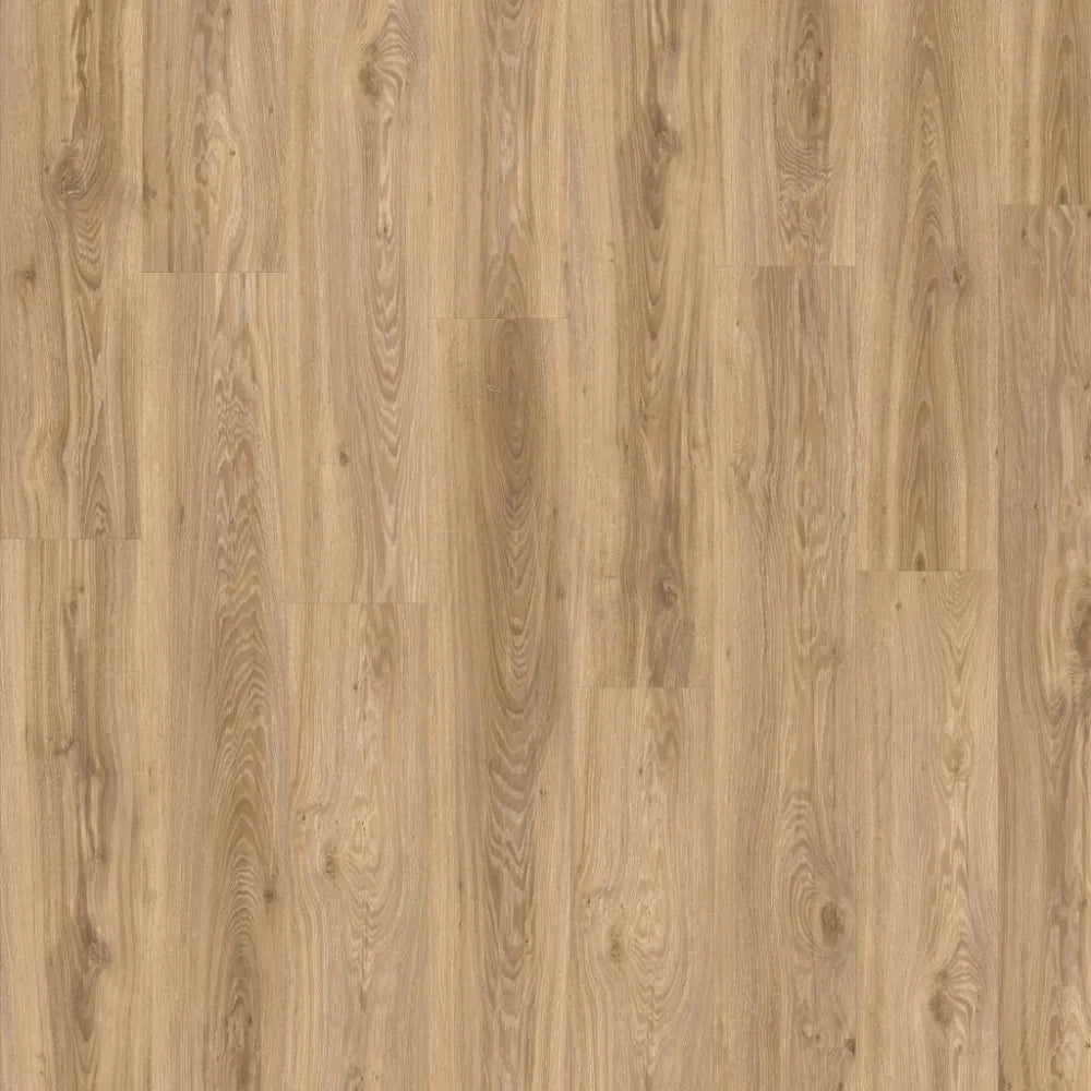 MODULEO INTOO PLANK