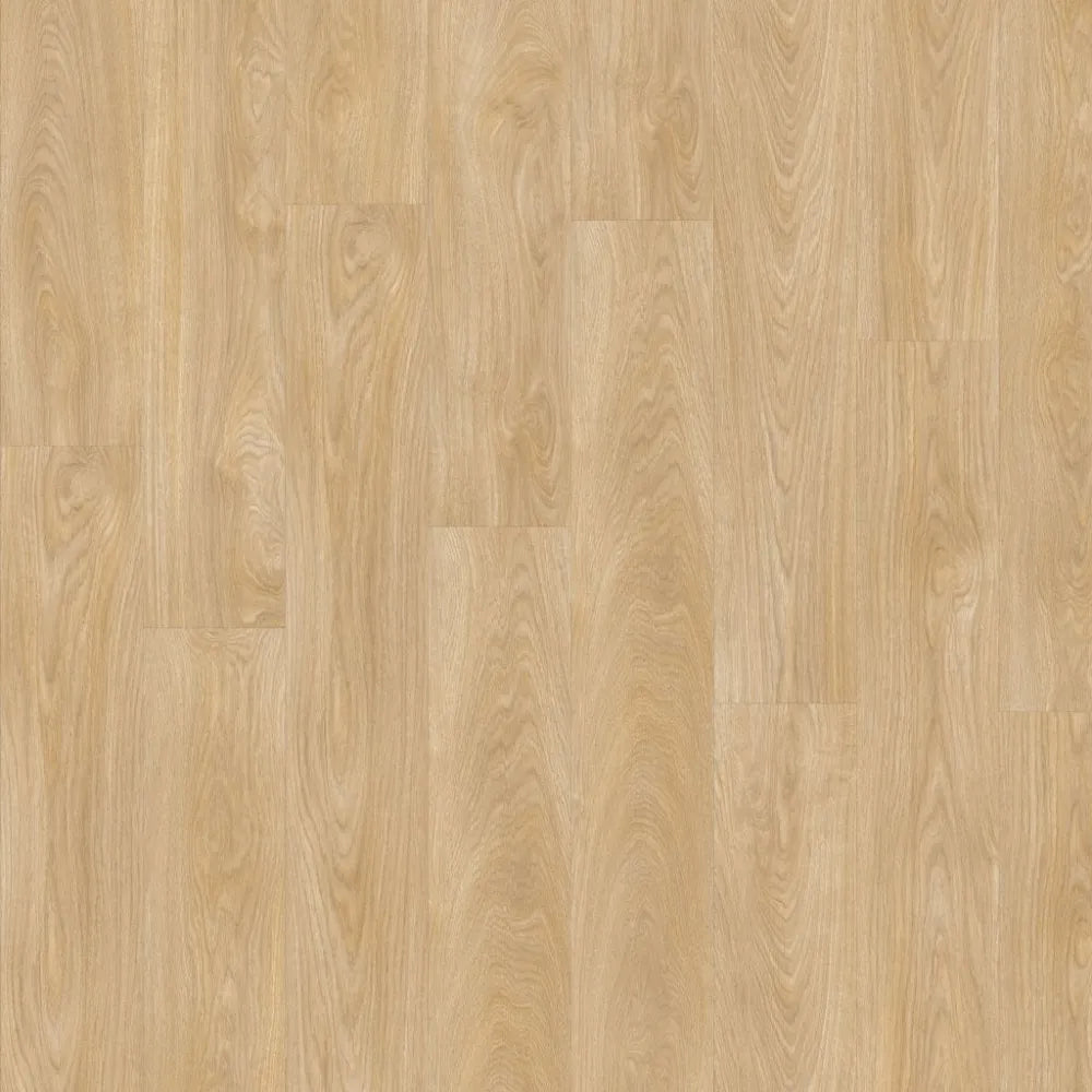 MODULEO INTOO PLANK