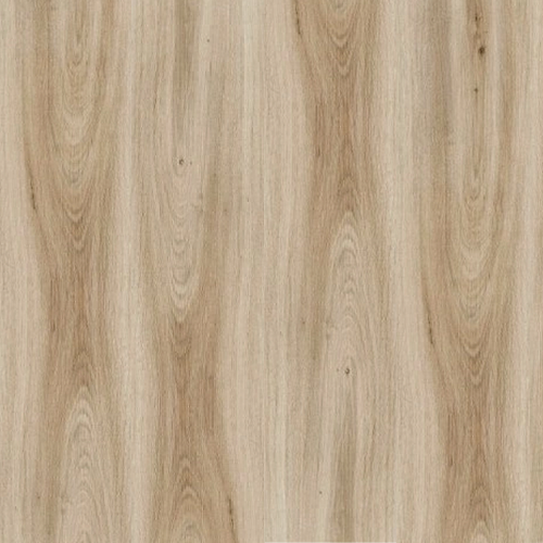 MODULEO TRANSFORM PLANK